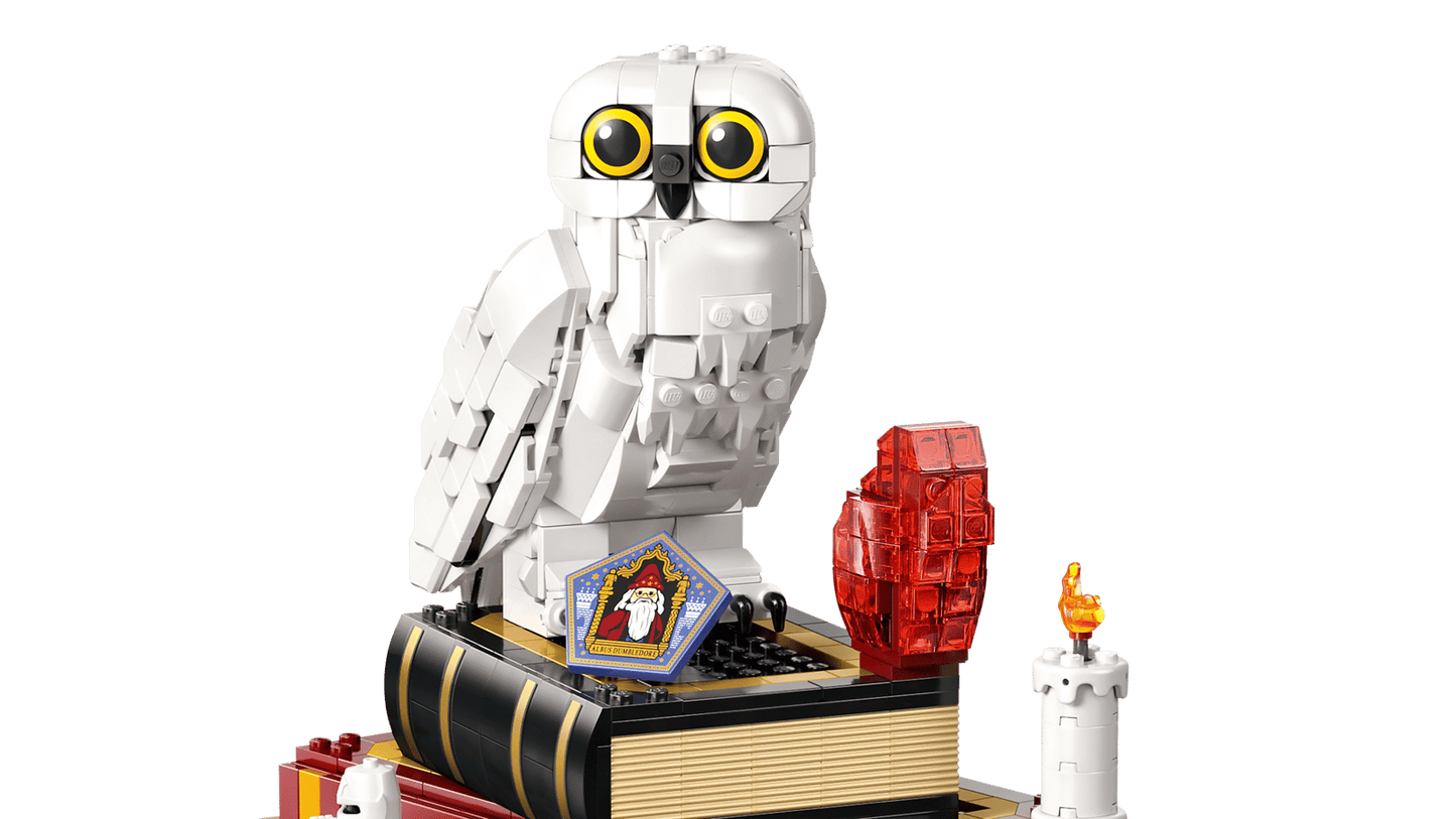 LEGO L’École des Sorciers Édition Collector 76466 – Harry Potter