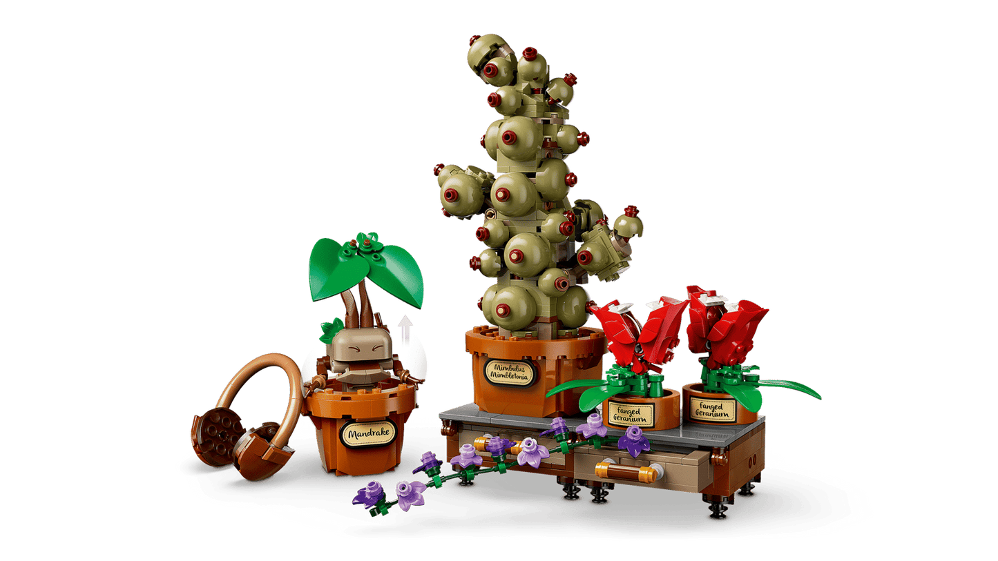 LEGO Harry Potter 76474 – Cours de Botanique de Poudlard