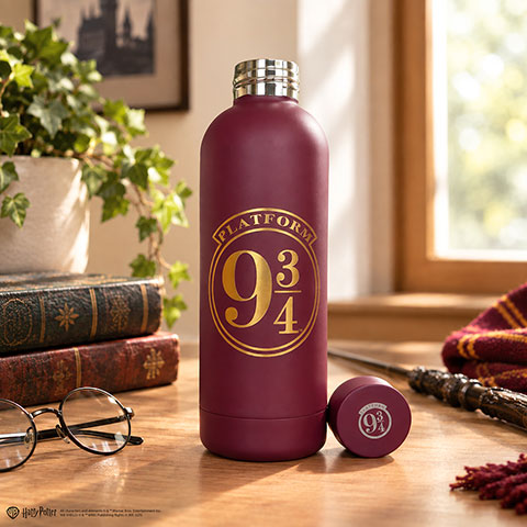Bouteille Isotherme Voie 9¾ 500 ml – Harry Potter