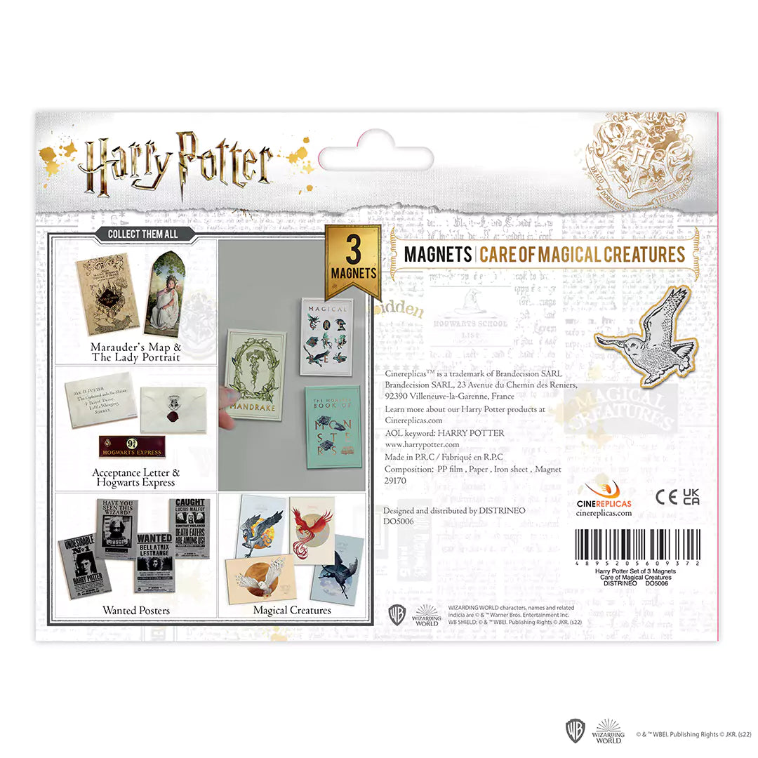 Set de 2 magnets - Carte du Maraudeurs et la Grosse Dame - Harry Potter