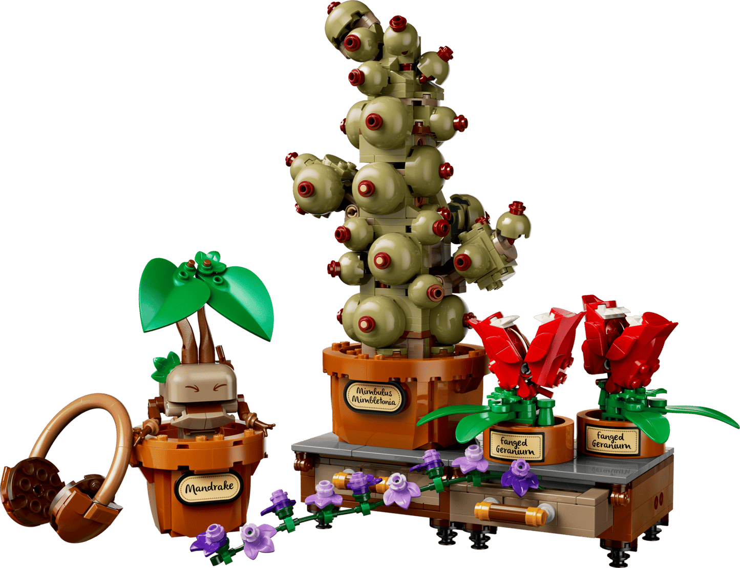 LEGO Harry Potter 76474 – Cours de Botanique de Poudlard