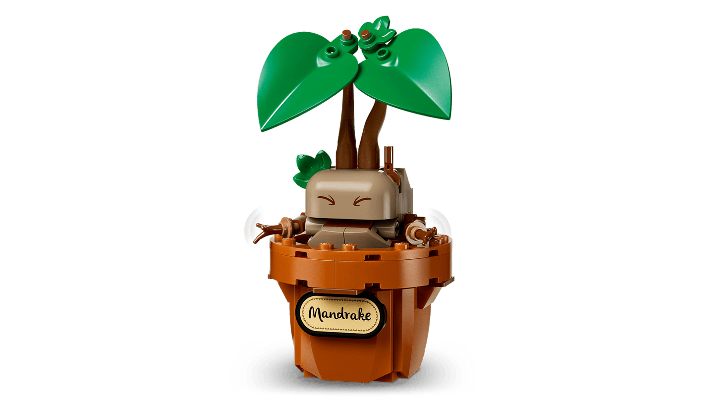 LEGO Harry Potter 76474 – Cours de Botanique de Poudlard