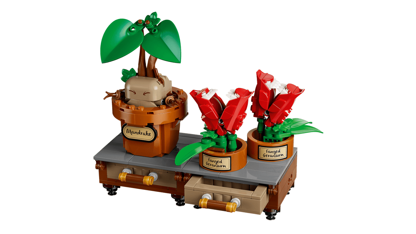 LEGO Harry Potter 76474 – Cours de Botanique de Poudlard