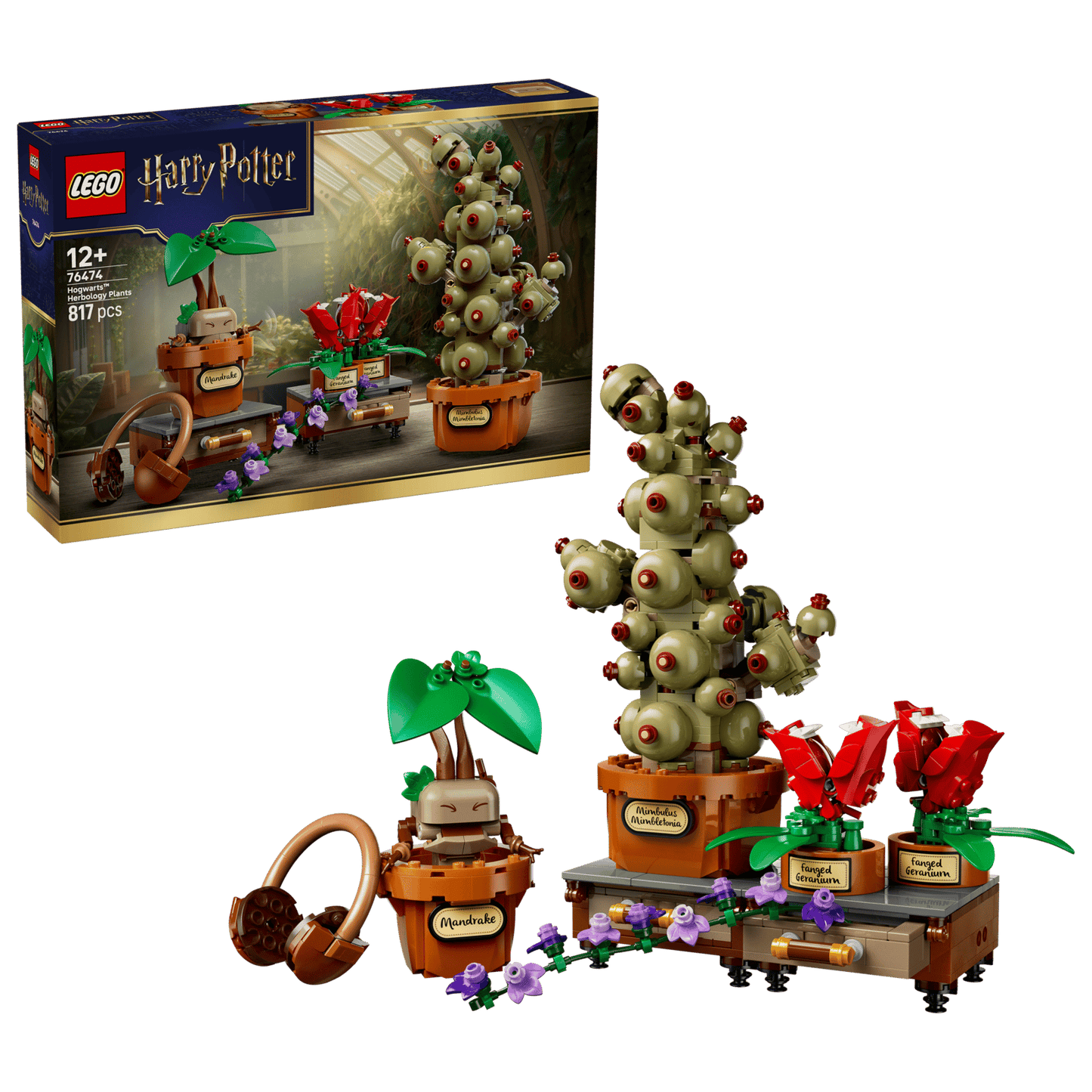 LEGO Harry Potter 76474 – Cours de Botanique de Poudlard