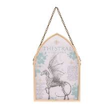 Plaque transparente Sombral - Harry Potter